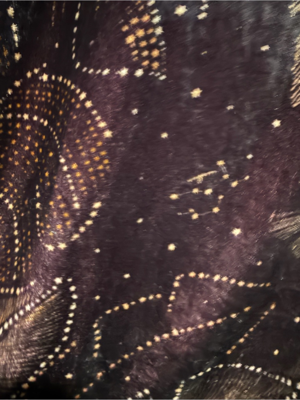FARM Rio Anthropologie Black Wide-Leg Velvet Palazzo Pants - Picture 6 of 11